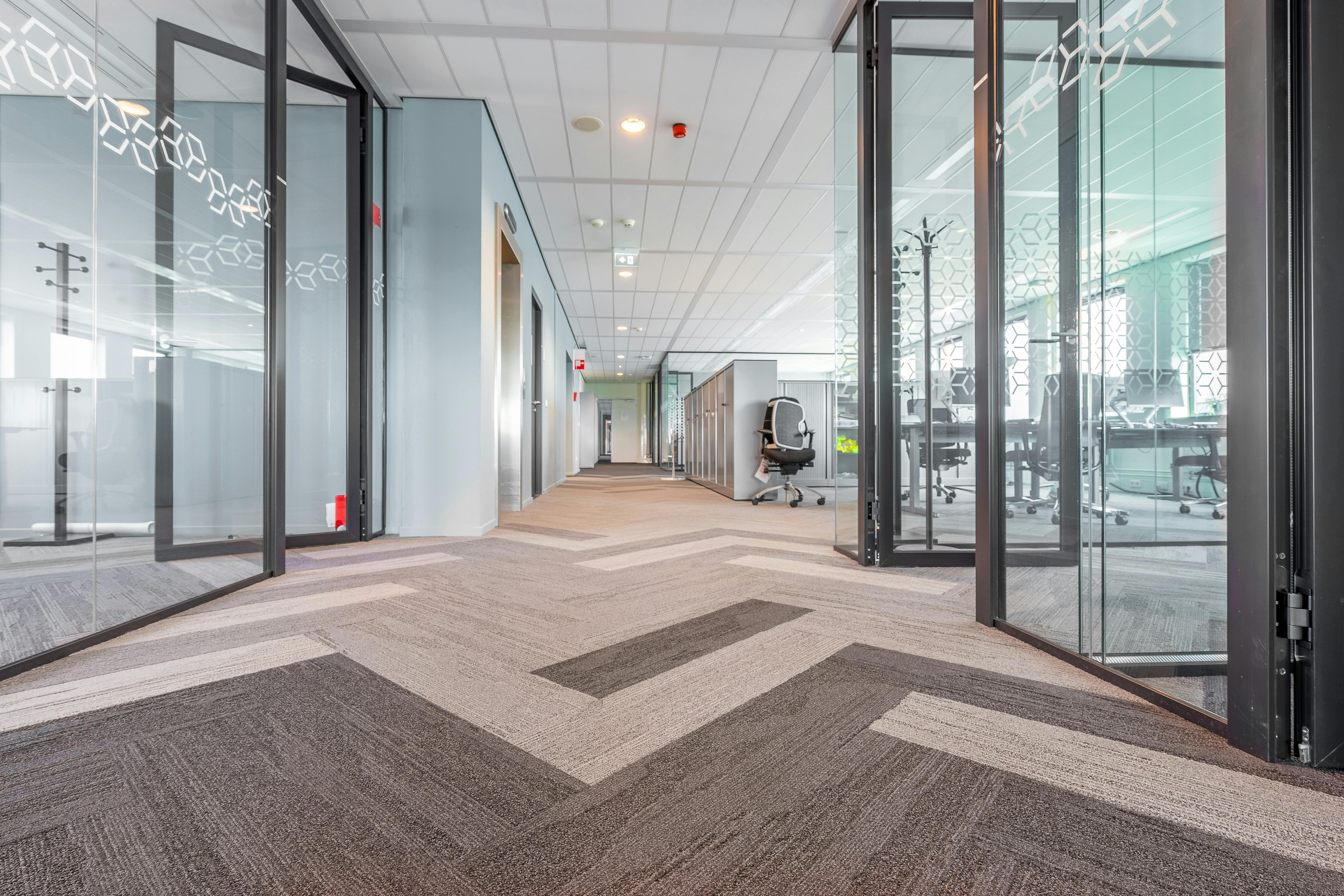Modern Office Renovation